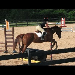 Meet your Posher, Carson ann