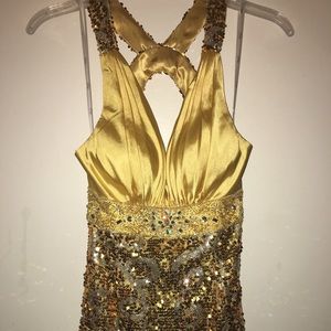 Prom/Pageant Dress