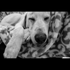 Meet your Posher, Whitney