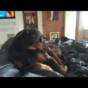 Meet your Posher, John