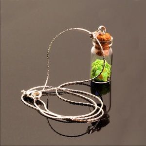 Wishing bottle necklace