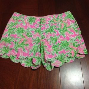 Nibbles Carrot Easter Buttercup Shorts