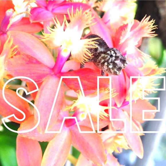 🌴ALOHA FRIDAY SALE🎉