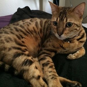 Not for SALE! Everything must GO!