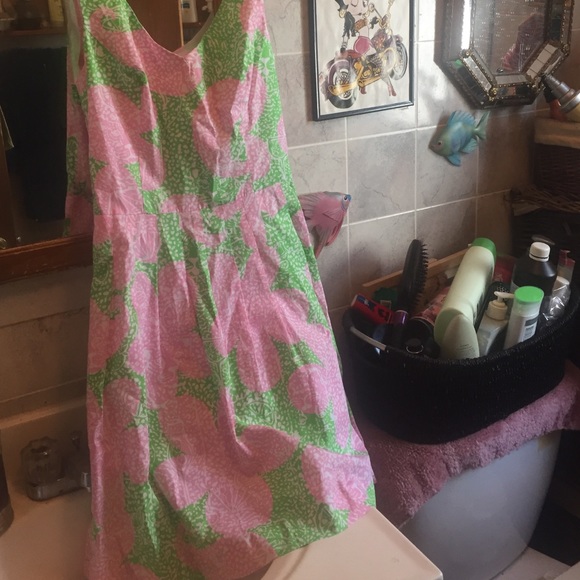 Lilly Pulitzer dress - Picture 2 of 4
