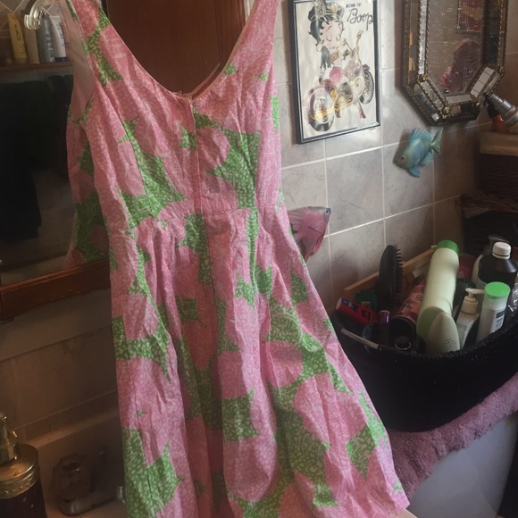 Lilly Pulitzer dress - Picture 4 of 4