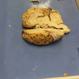 Meet your Posher, Shawnna