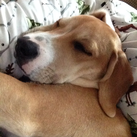 Meet your Posher, Becki