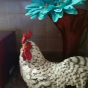 Meet your Posher, Lynette