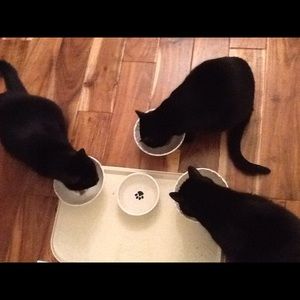 Meet your Posher, Caroline