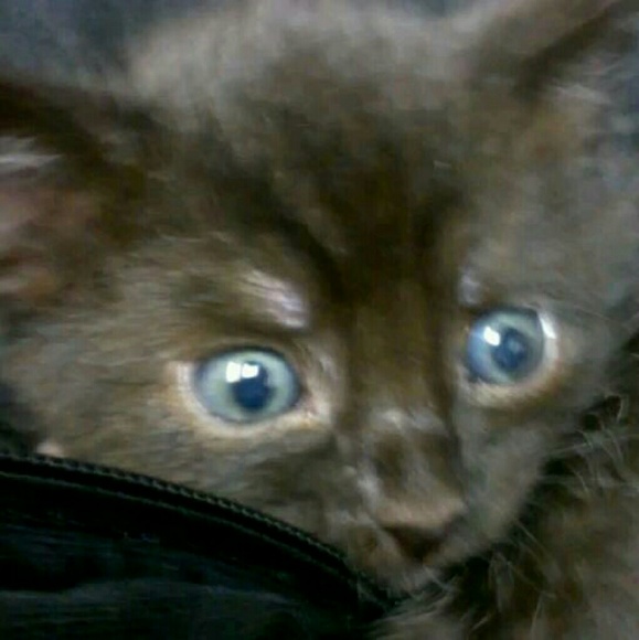 Meet your Posher, Jaclyn - Picture 1 of 1