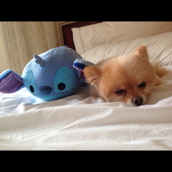 Meet your Posher, Jamie - Picture 1 of 1