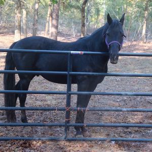 Meet your Posher, Debbie