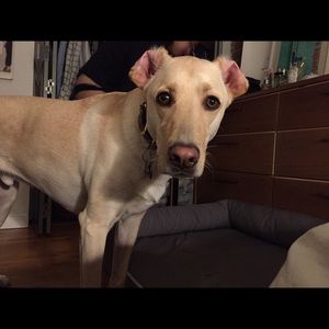 Meet your Posher, Heath