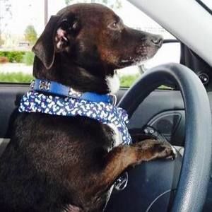 Meet your Posher, Kim