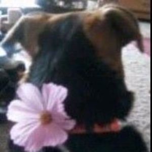 Meet your Posher, Lori