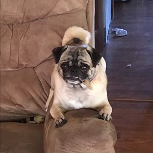 Meet your Posher, Brianna