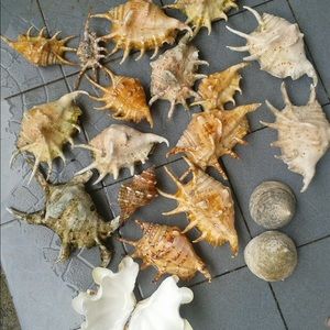 Meet your Posher, You jien