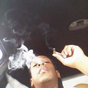 Meet your Posher, Alvin