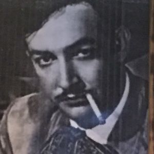 Meet your Posher, Ellen