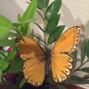 Meet your Posher, Lourdes