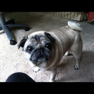 Meet your Posher, Nancy