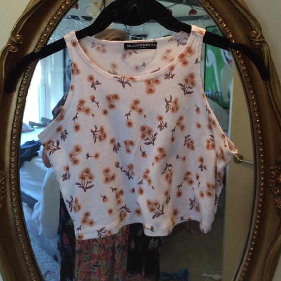 Brandy Melville crop