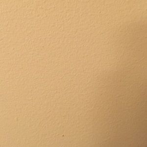 Meet your Posher, Dominick