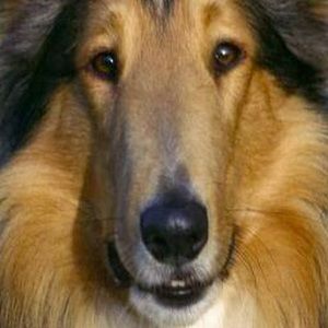 Meet your Posher, Jessalyn