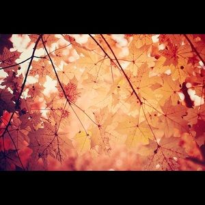 Meet your Posher, Eileen