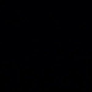 Meet your Posher, Gavin