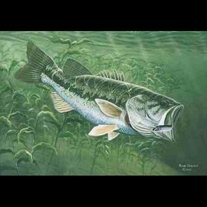 Meet your Posher, Ethan