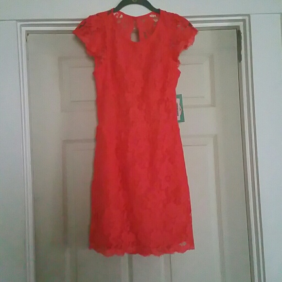 Lace Coral Dress