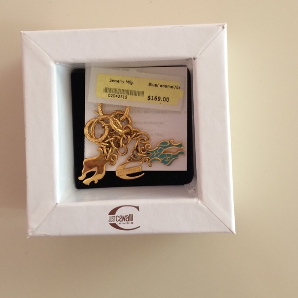 Just Cavalli earrings