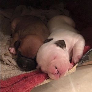 Meet your Posher, Marisa