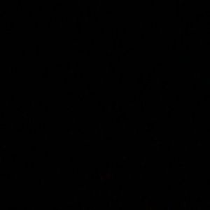 Meet your Posher, Mickala