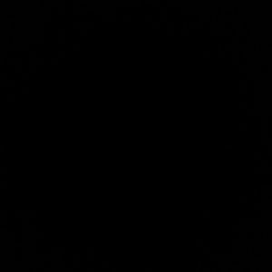 Meet your Posher, Arianna