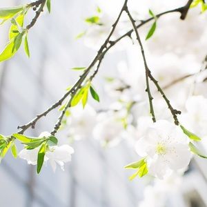 Meet your Posher, Holly