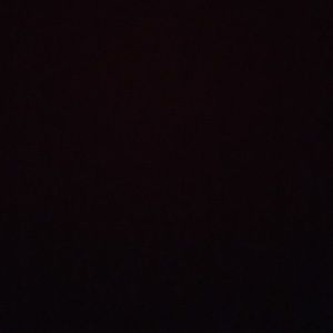 Meet your Posher, Hans