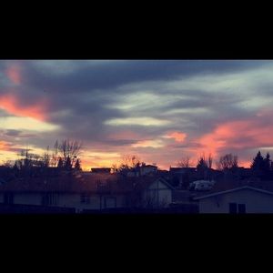 Meet your Posher, Amara