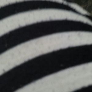 Meet your Posher, Maidelin