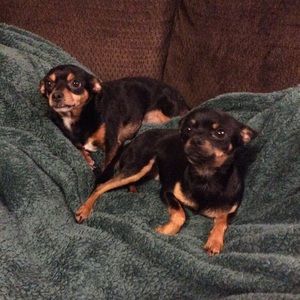 Meet your Posher, Dawna