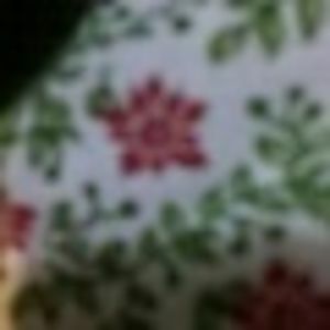 Meet your Posher, Ann