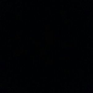 Meet your Posher, Lashana