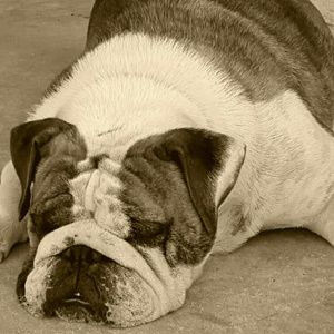 Meet your Posher, Tabitha