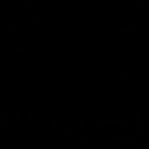 Meet your Posher, Lewis