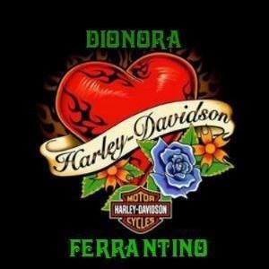 Meet your Posher, Dionora