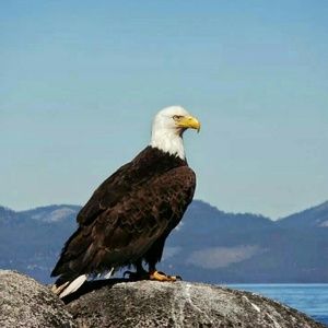 Meet your Posher, Tammy