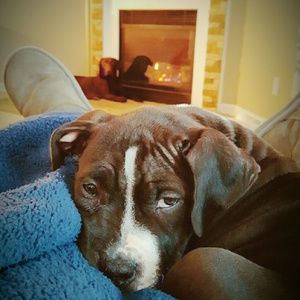 Meet your Posher, Brandy