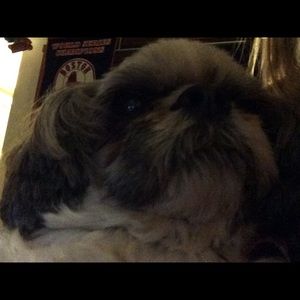 Meet your Posher, Desiree